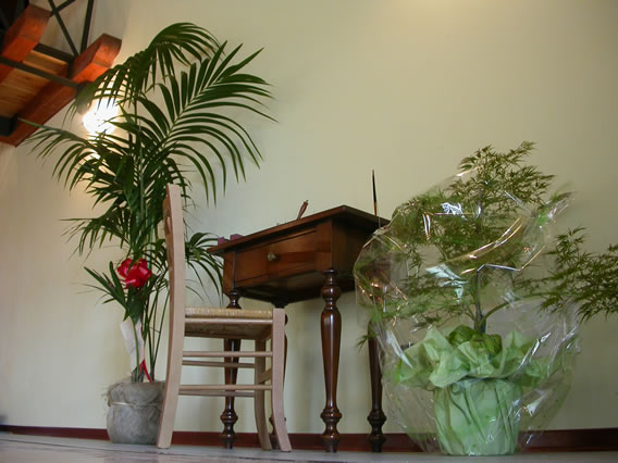 Sede Adesso (16)